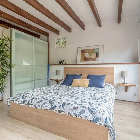 Strelitzia Among Avocados Holiday home *