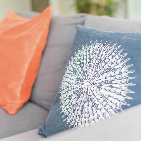 Strelitzia Among Avocados * لا أوروتافا